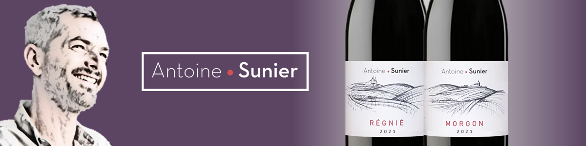 Antoine Sunier Vin beaujolais bio nature